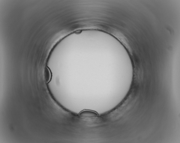 X0000113890805200910221415