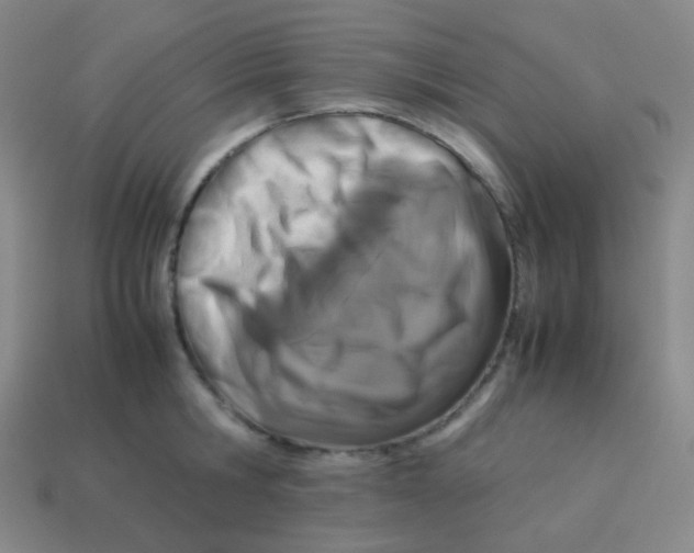 X0000113890806200910221415