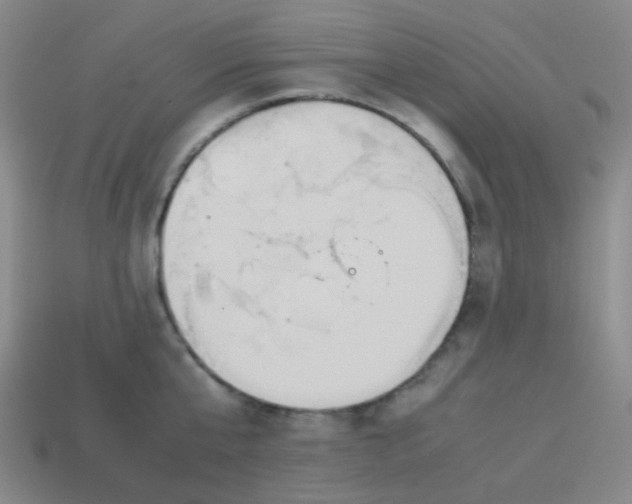 X0000113890807200910221415