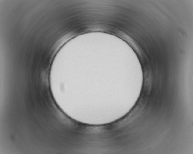 X0000113890810200910221415