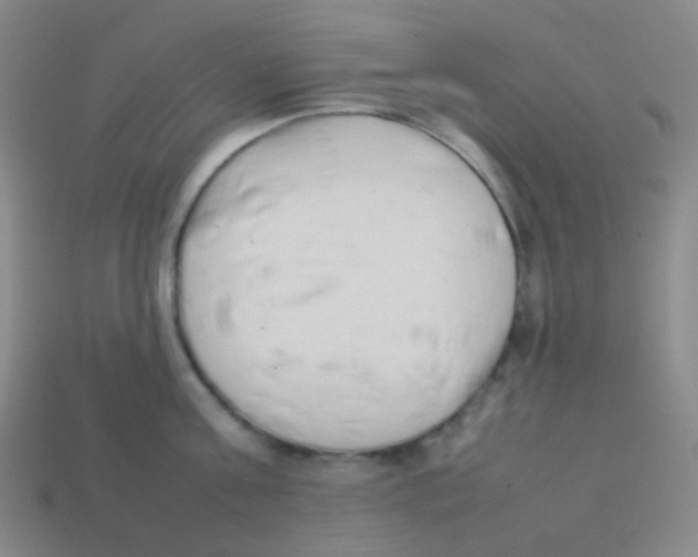 X0000113890811200910221415