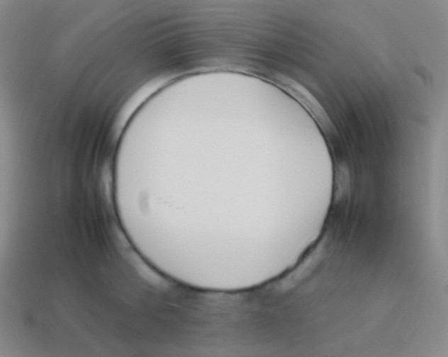X0000113890812200910221415