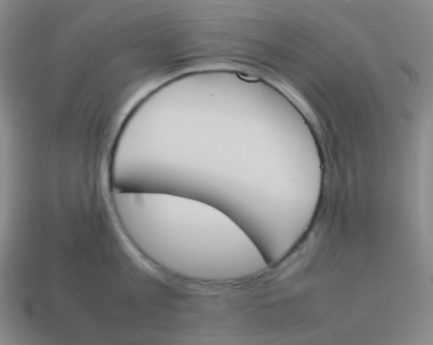 X0000113890813200910221415