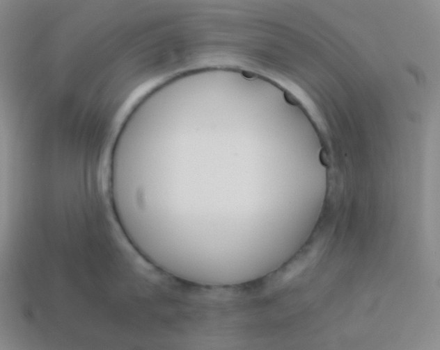 X0000113890815200910221415