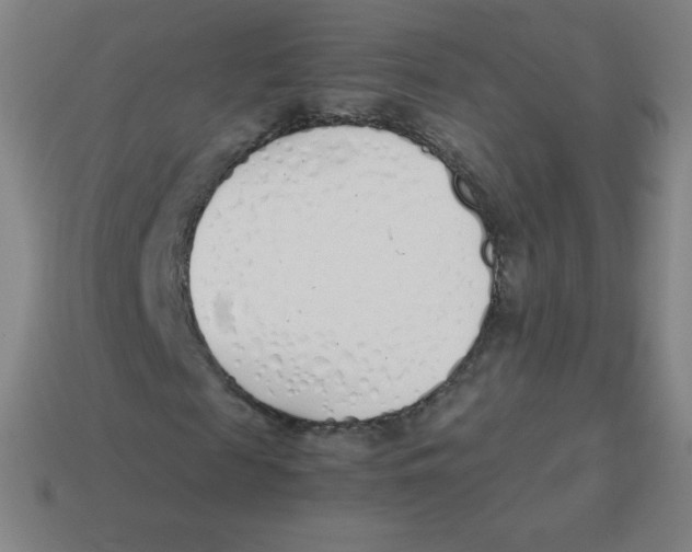 X0000113890817200910221414