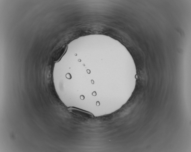 X0000113890818200910221414