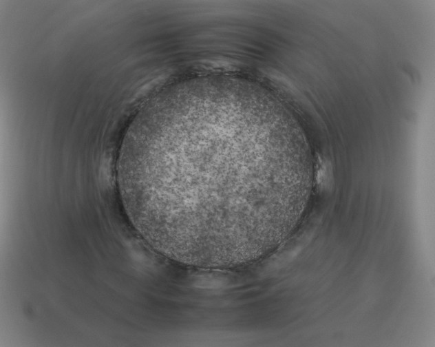 X0000113890819200910221414