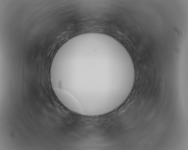 X0000113890820200910221414