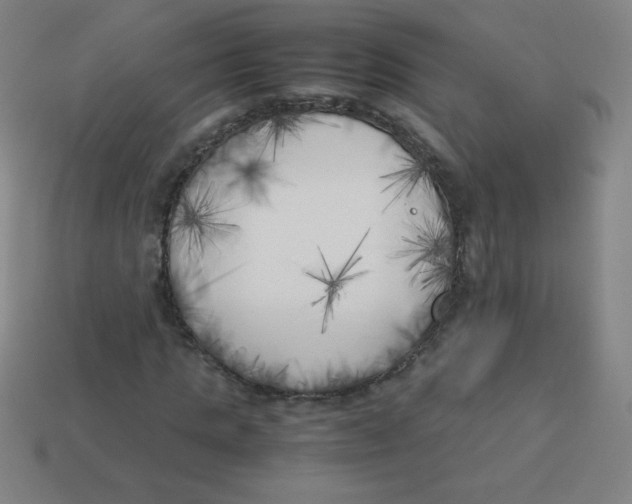 X0000113890821200910221414