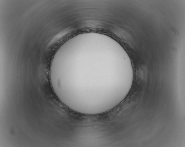 X0000113890822200910221414