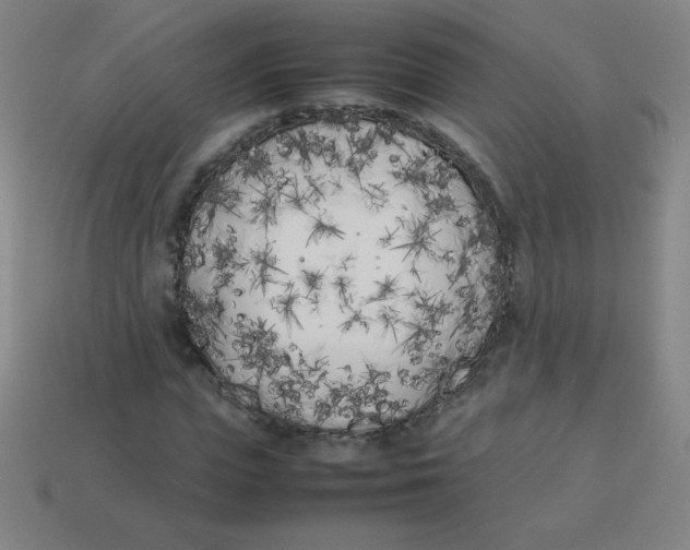 X0000113890823200910221414