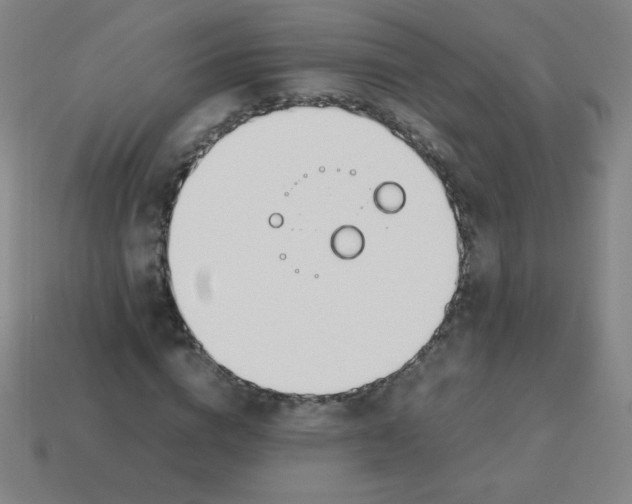 X0000113890824200910221414