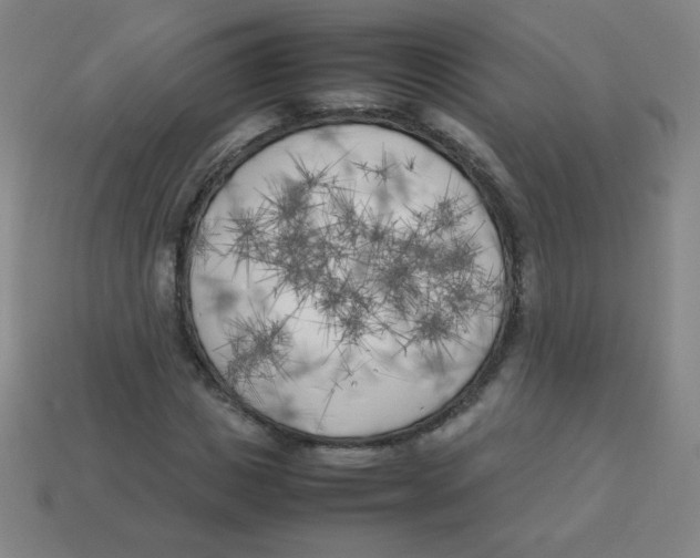 X0000113890825200910221414