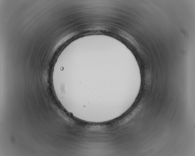 X0000113890826200910221414
