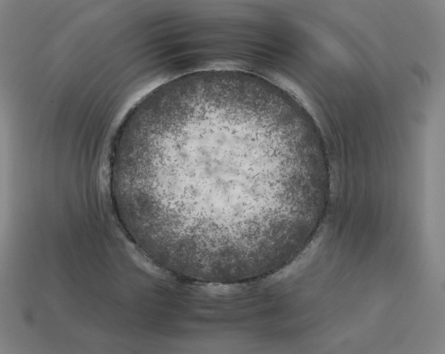 X0000113890827200910221414
