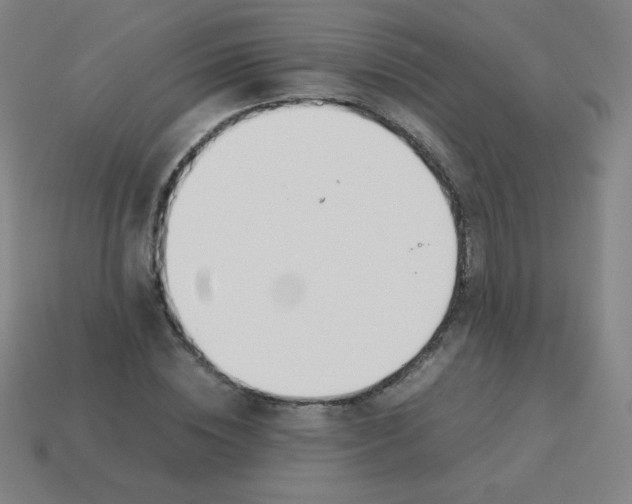 X0000113890828200910221414
