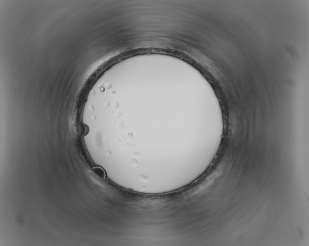 X0000113890830200910221415