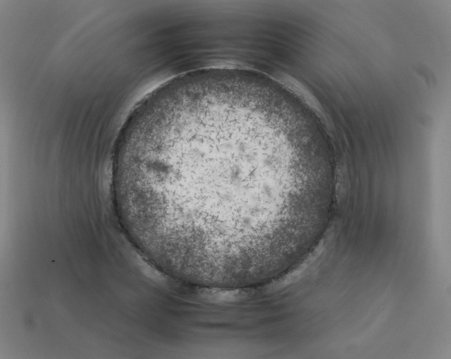 X0000113890831200910221415