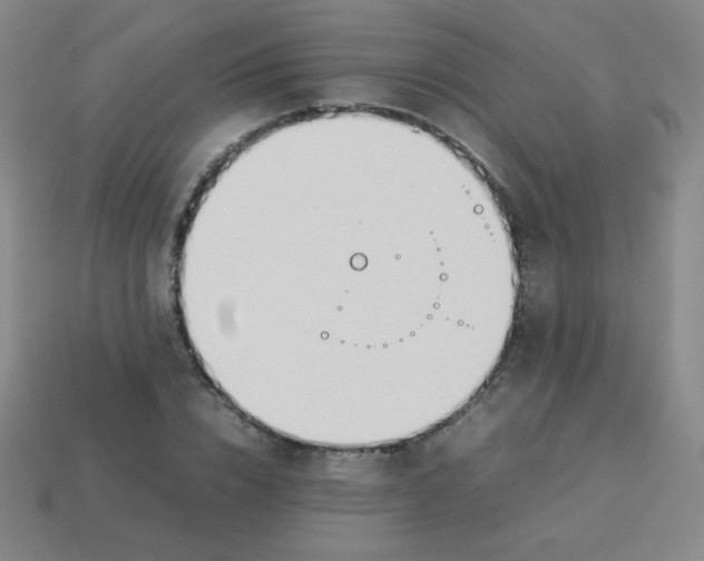 X0000113890832200910221415