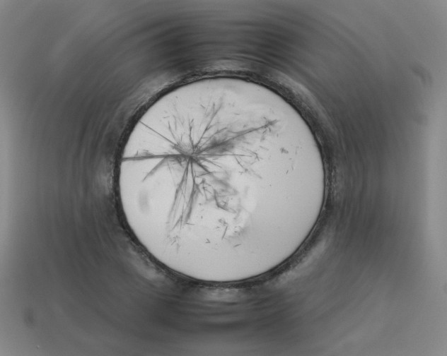 X0000113890833200910221415
