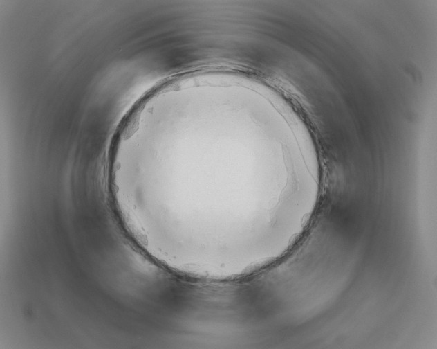 X0000113890836200910221415