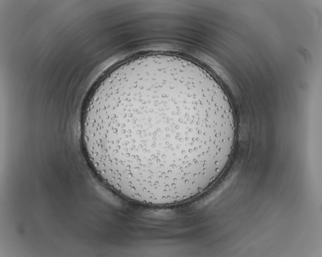 X0000113890837200910221415