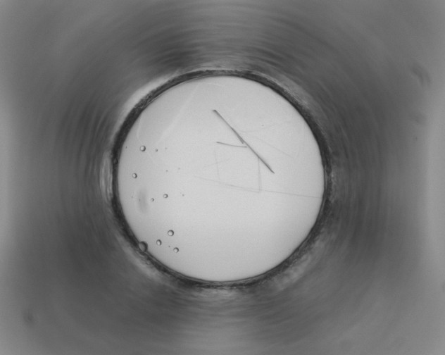 X0000113890838200910221415