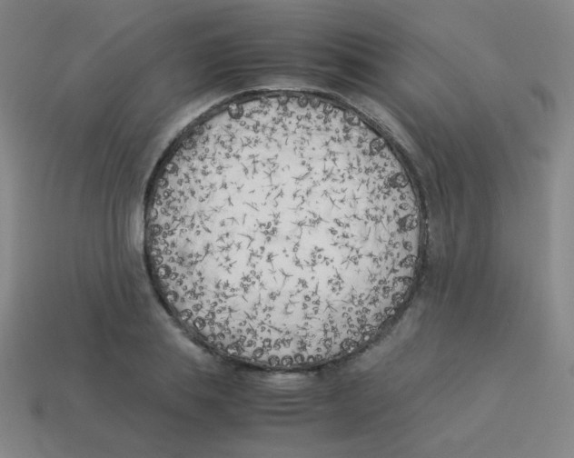 X0000113890839200910221415