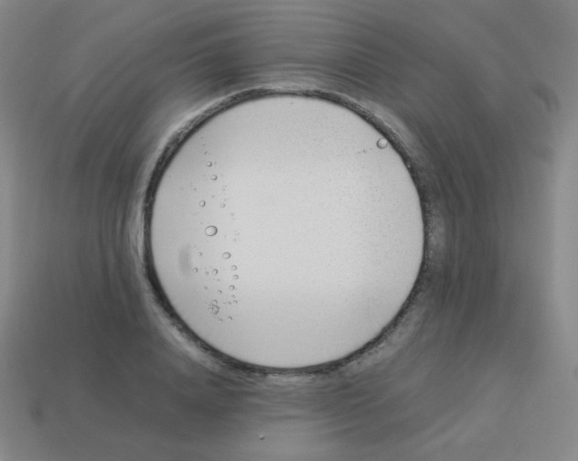 X0000113890840200910221415