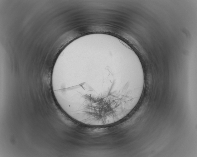 X0000113890841200910221415