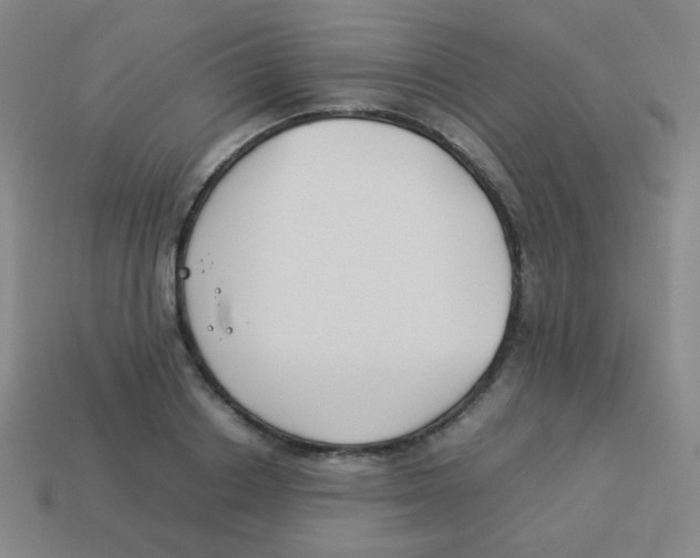 X0000113890842200910221415