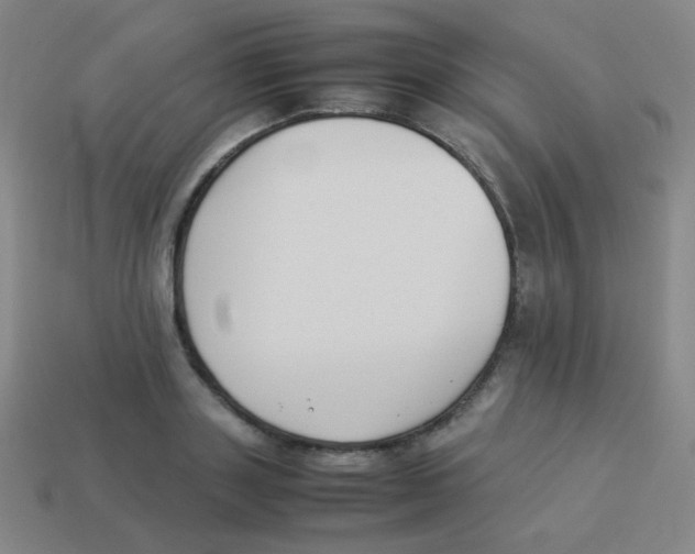 X0000113890843200910221415