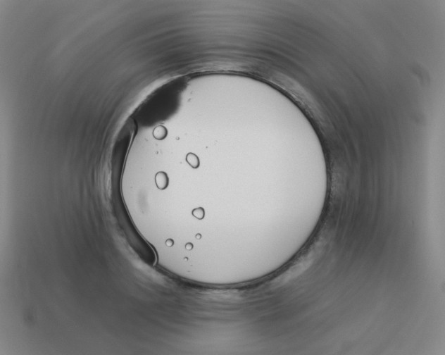 X0000113890844200910221415