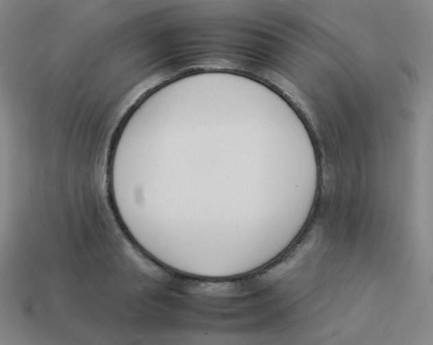 X0000113890845200910221415