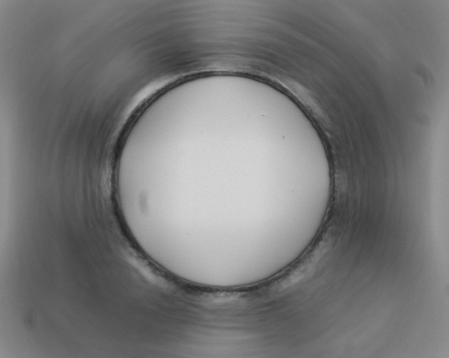 X0000113890846200910221415