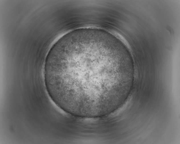 X0000113890847200910221415