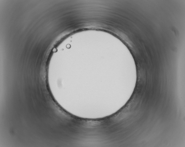 X0000113890848200910221415