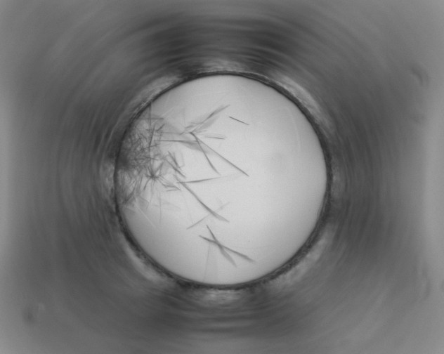 X0000113890849200910221415