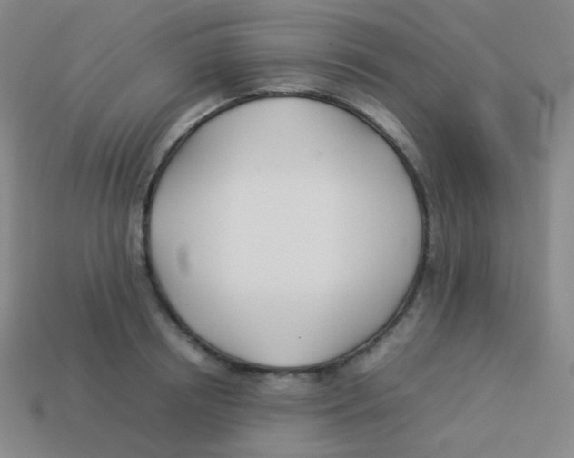 X0000113890850200910221415