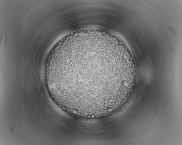 X0000113890851200910221415