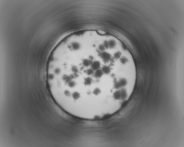 X0000113890852200910221415