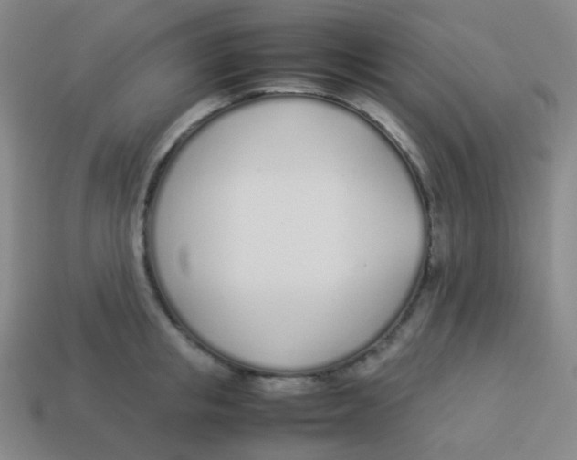 X0000113890853200910221415
