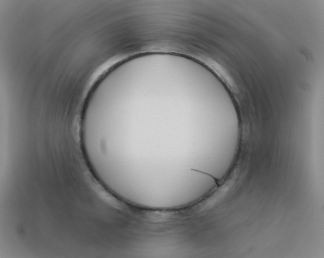 X0000113890854200910221415