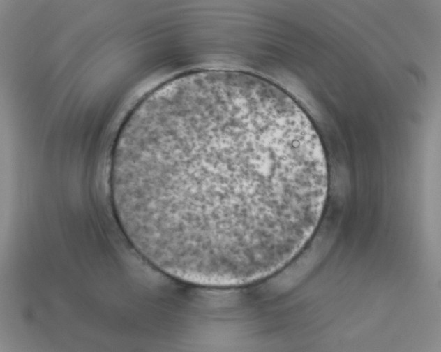 X0000113890856200910221415