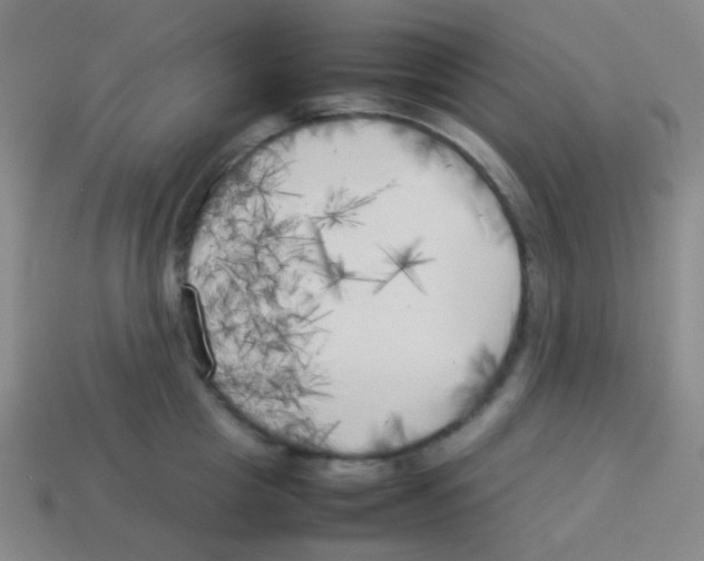 X0000113890857200910221415
