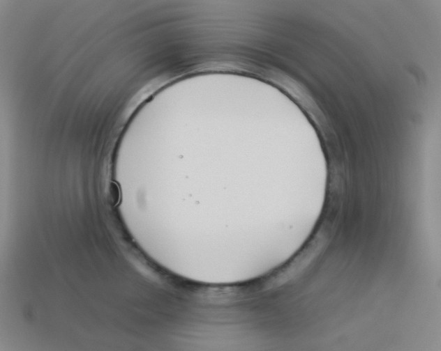 X0000113890858200910221415
