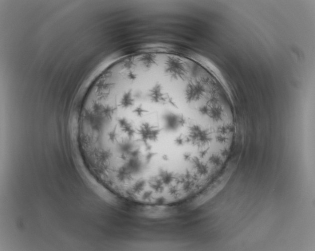 X0000113890859200910221415