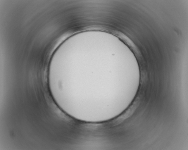 X0000113890860200910221415