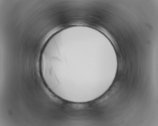 X0000113890861200910221415