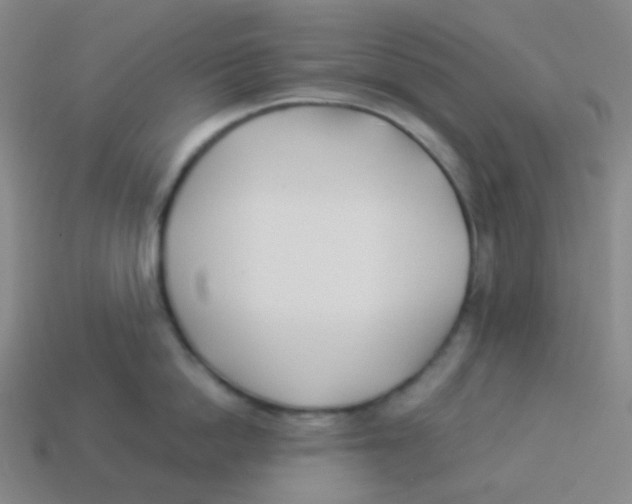 X0000113890862200910221415